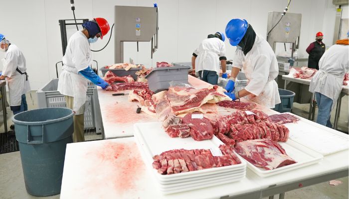 از دامپروری تا کشتارگاه